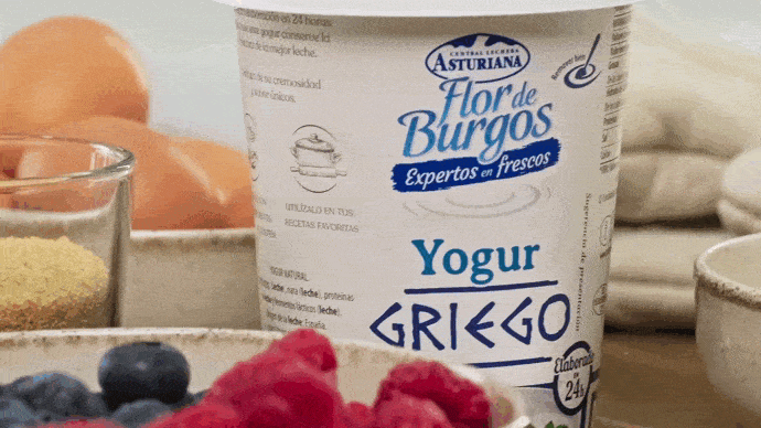 Yogur Flor de Burgos